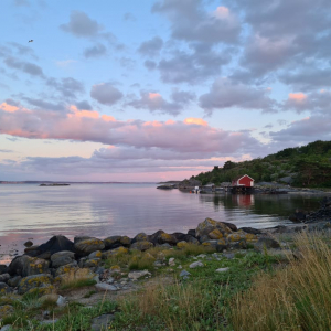 220158048_509402123666100_1823994178896901912_n (kopia)