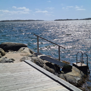 220791341_510061070255381_7047894090308030385_n