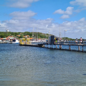 217125285_1011983142908296_6427278147959562301_n