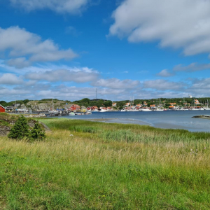 217978208_1017395222409024_3498450713079043563_n